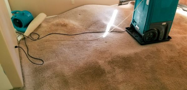 Carpet Water Extraction in Frisco