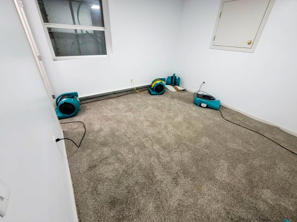 Flood Restoration Service in Frisco