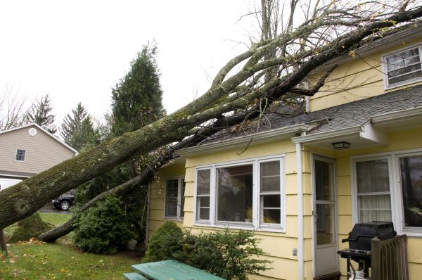Hurricane Damage Repair in Frisco